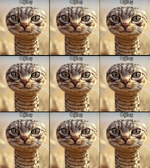 1752623866567.png