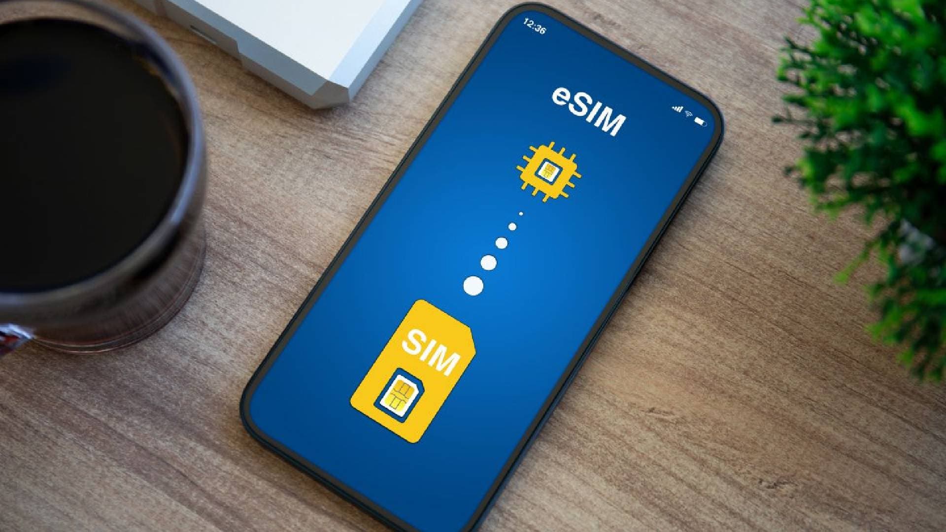 eSIM Aktarım