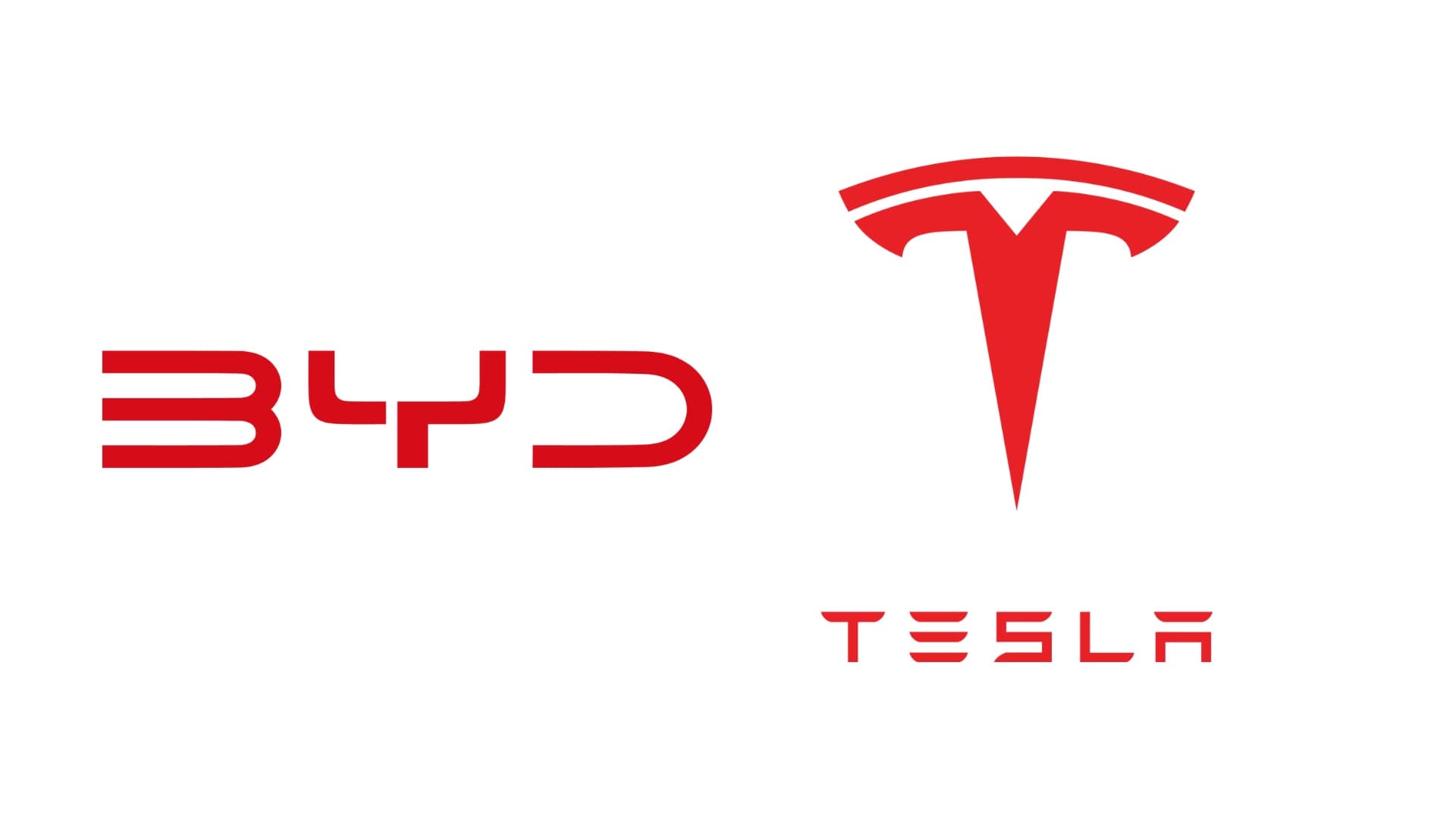 bydtesla1.jpeg