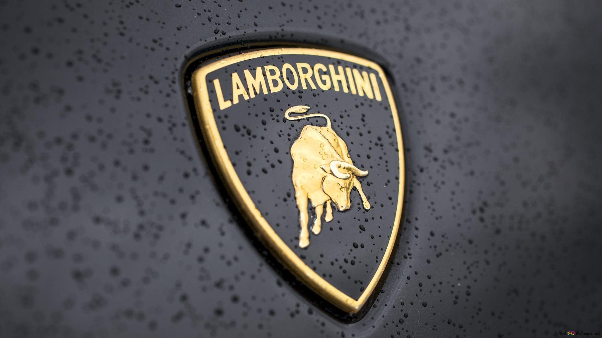 lamborghini-black-logo-wallpaper-1920x1080_48-3.jpg