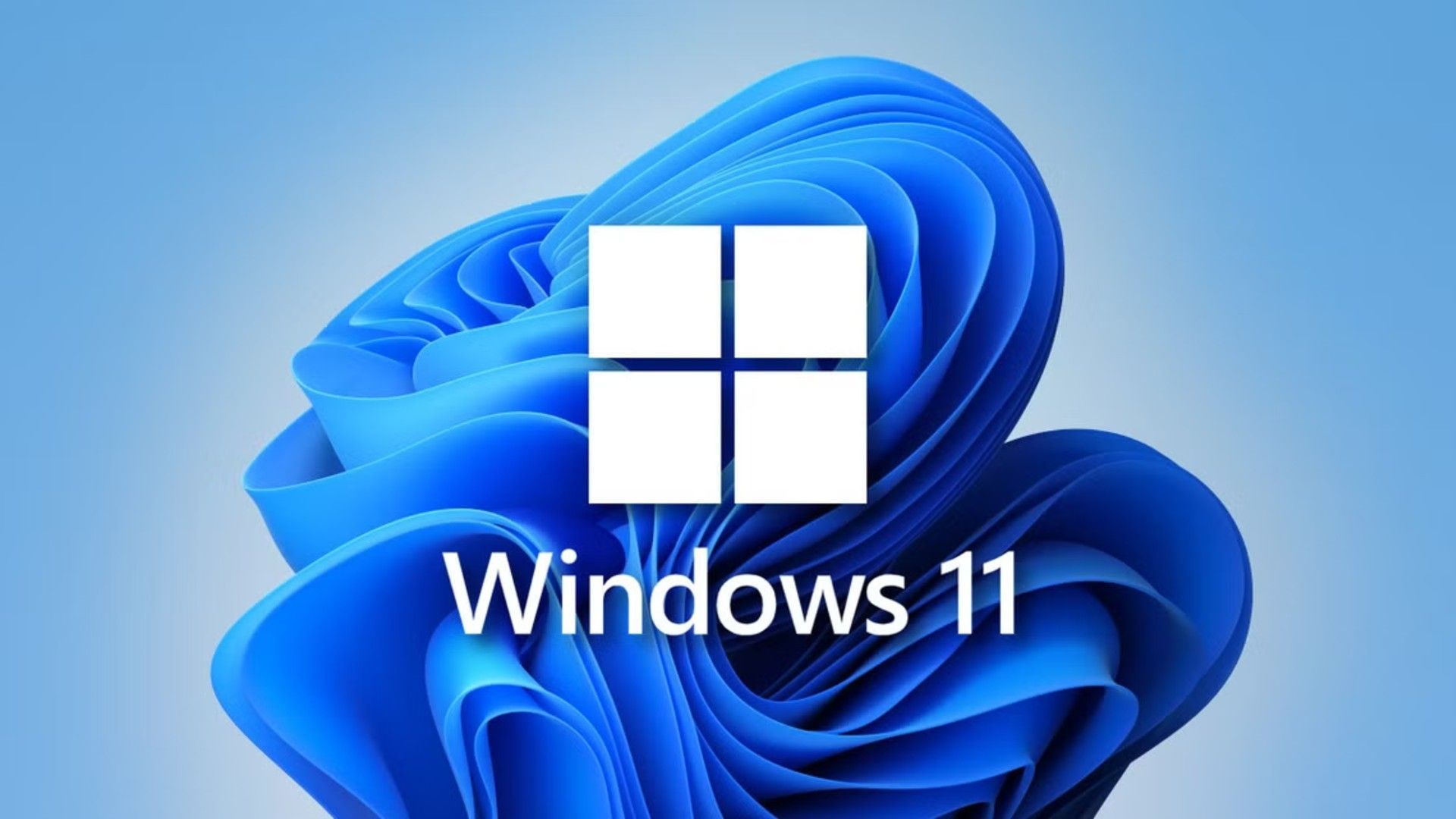 windows_11_generic_hero_1-jpg.jpg