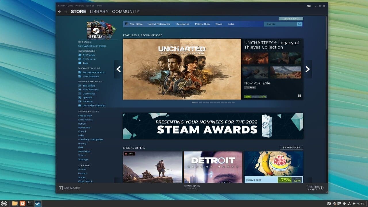 Linux Mint'te Steam'in ekran görüntüsü.